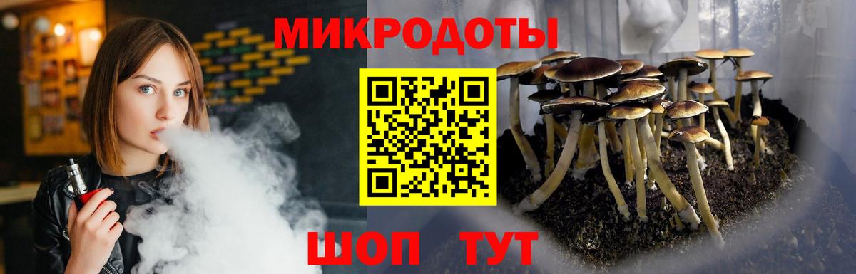 Спасск-Дальний  Галлюциногенные грибы мицелий  Галлюциногенные грибы ЛСД  Вход с VPN 